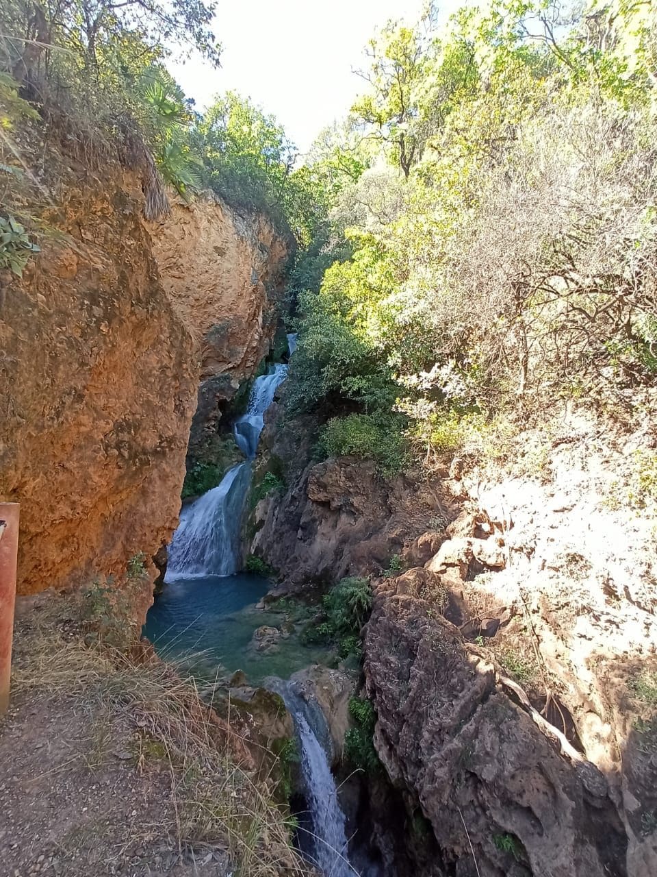 A natural landscape featuring cascading waterfalls surrounded by lush greenery and rocky cliffs. The water flows gently into a clear pool, reflecting the vibrant foliage overhead. Sunlight filters through the trees, creating a serene and inviting atmosphere.