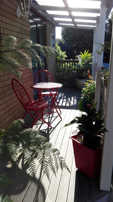 Early morning on back patio
