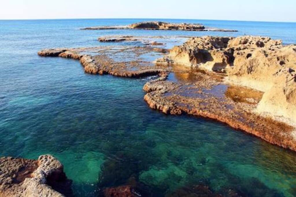 local beach nahsholim