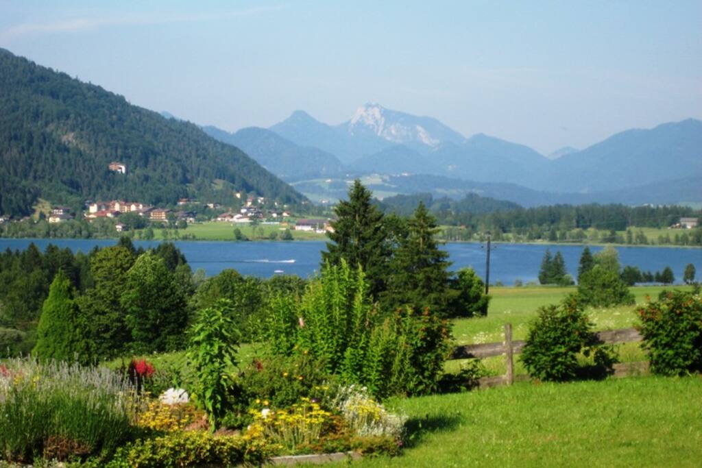 Ausblick auf den Walchsee