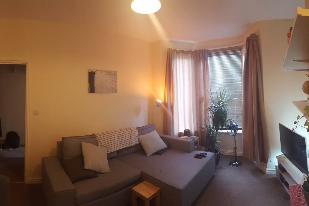 The living room & sofa bed