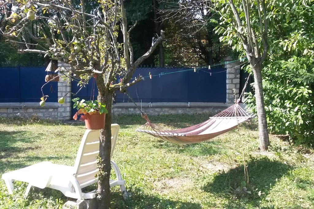 The garden