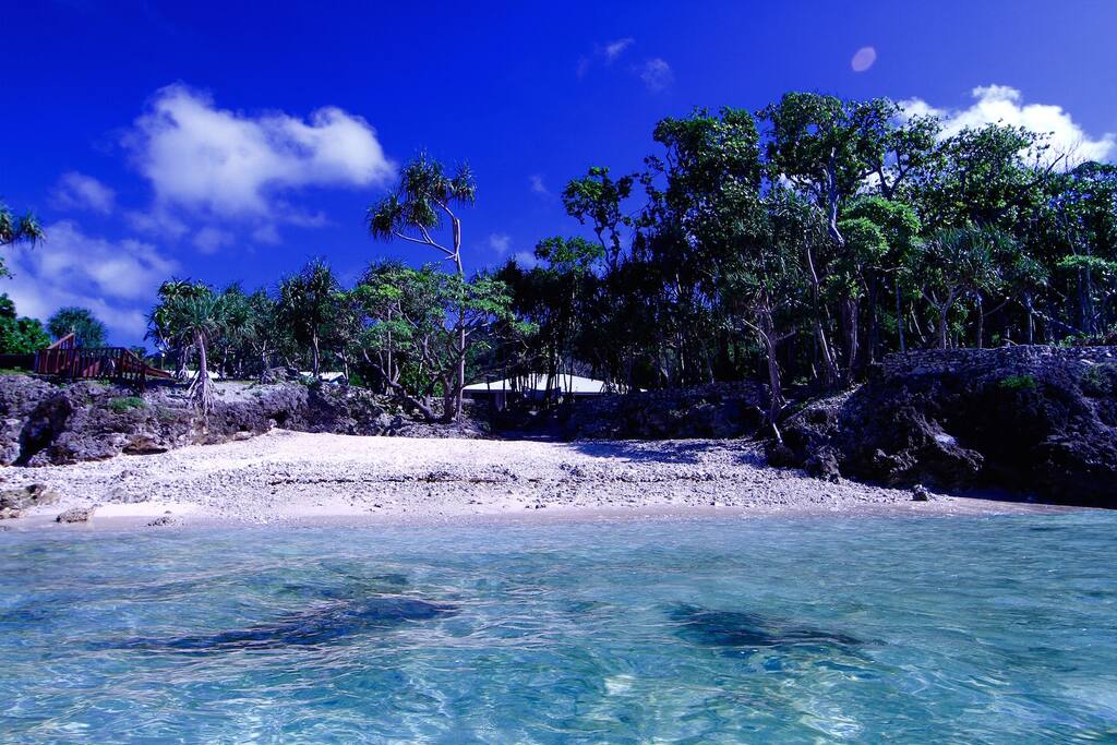 The view from the beautiful coral beach