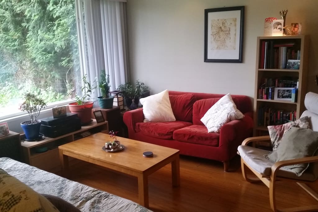 Cozy living room. Fouton used as couch or bed.