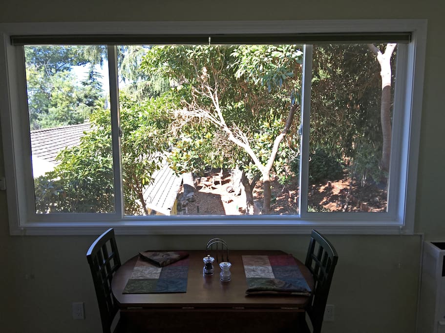 Here's the same window looking out at our garden.