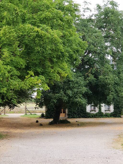 accès parking