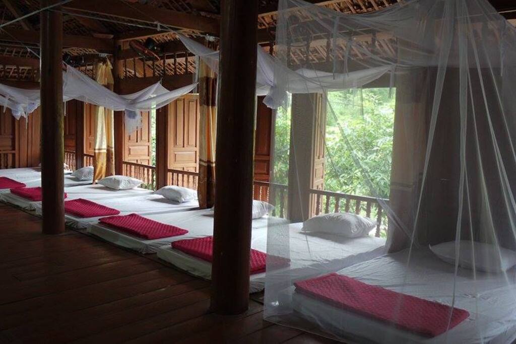 Single beds and their mosquito net