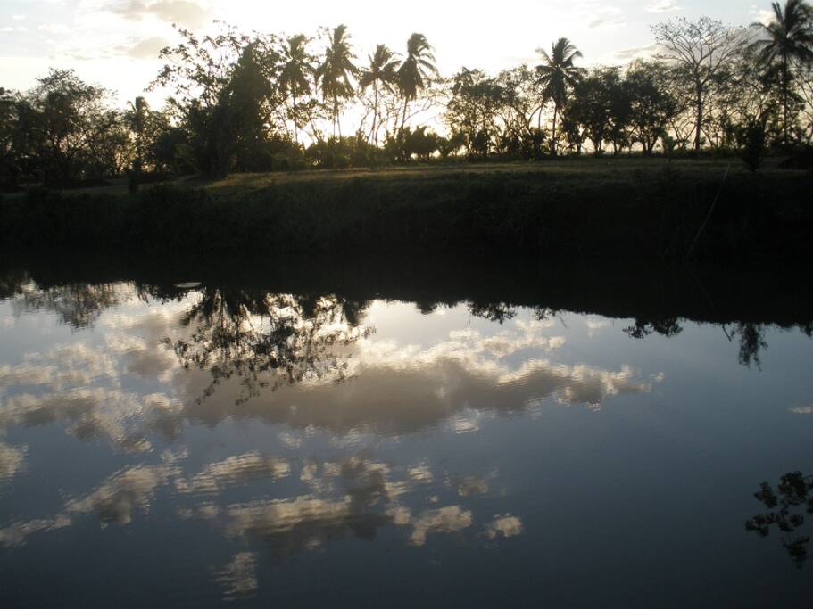 Tiger Lake