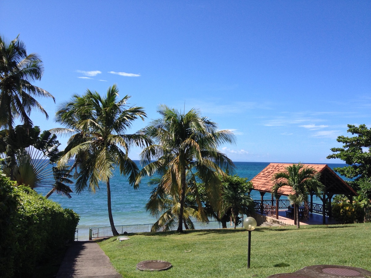 A serene landscape is presented with vibrant palm trees swaying gently against a backdrop of clear blue skies and turquoise waters. A shaded gazebo is seen in the distance, situated near the sandy beach, providing a perfect spot for relaxation by the sea.