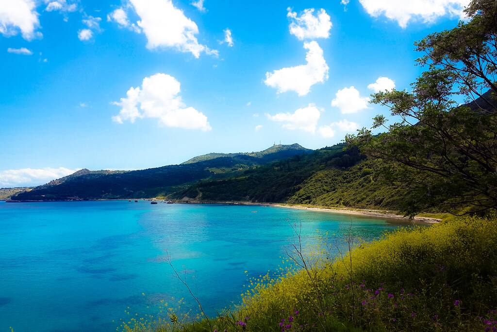 Sea view in spring