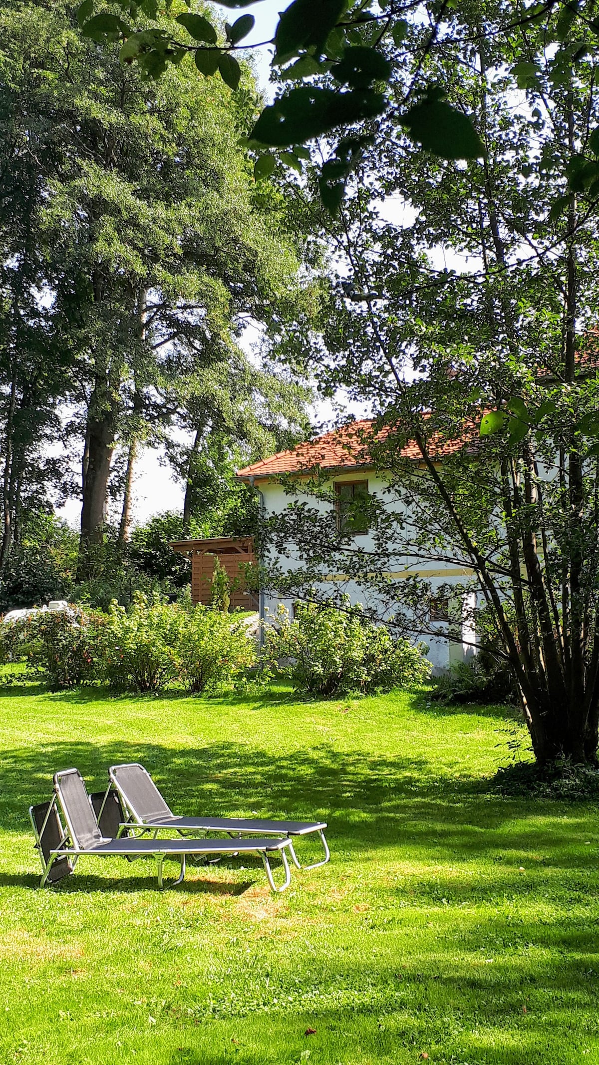 Two lounge chairs are positioned on a grassy lawn, surrounded by lush greenery and trees. The charming house with white walls and a red roof is visible in the background, providing a serene backdrop for relaxation.