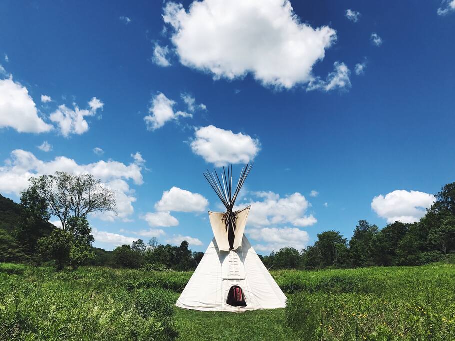 Summer!!! Photo by Nat Chitwood