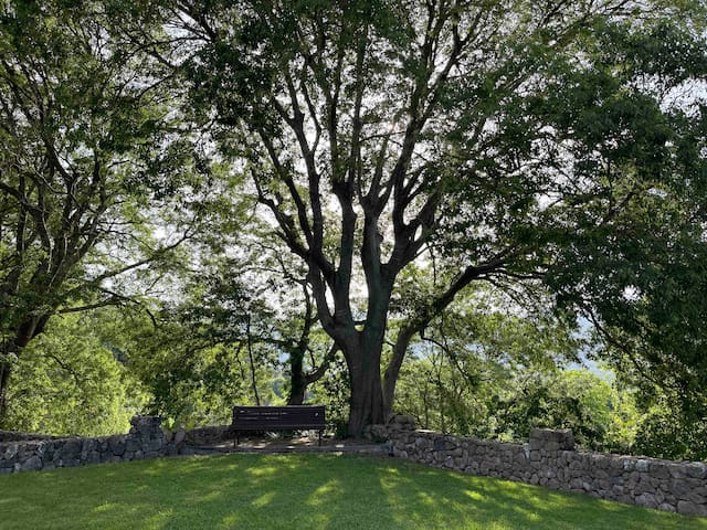 listing_image