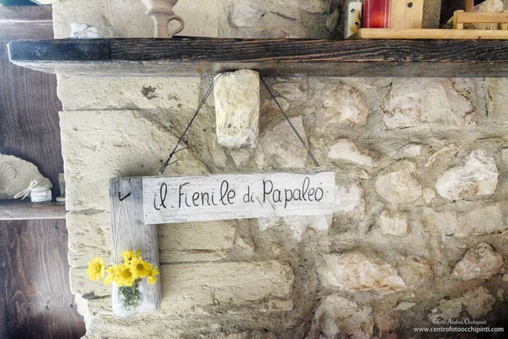 IL FIENILE DI PAPALEO