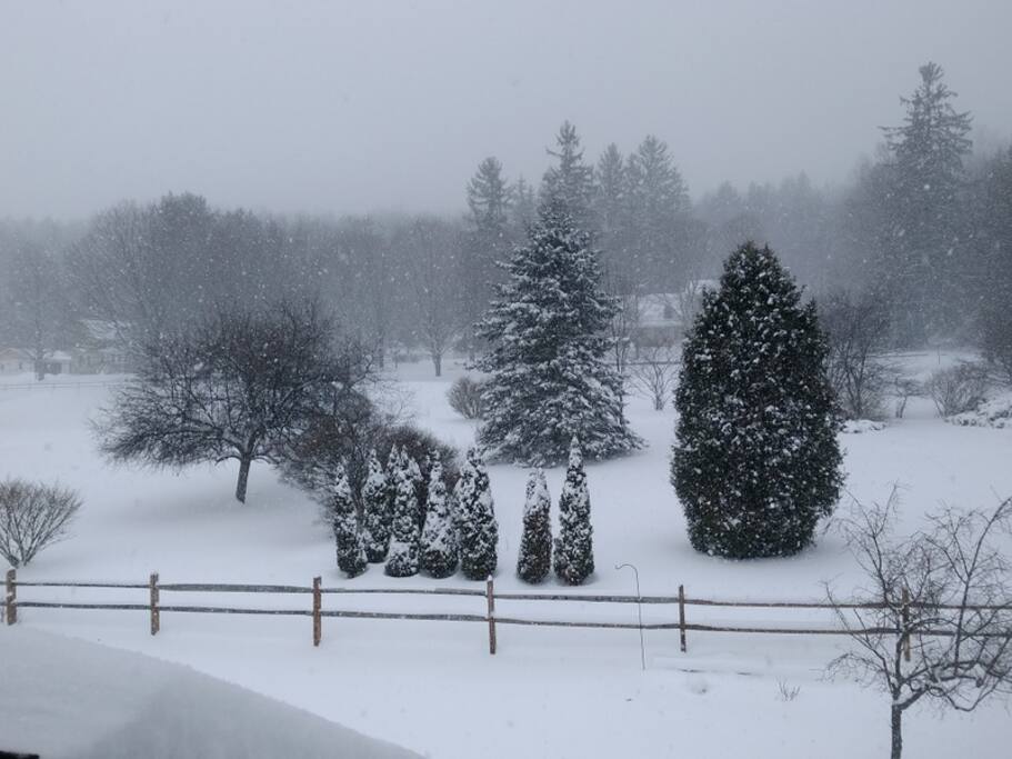 Winter Scene...Rear Entry