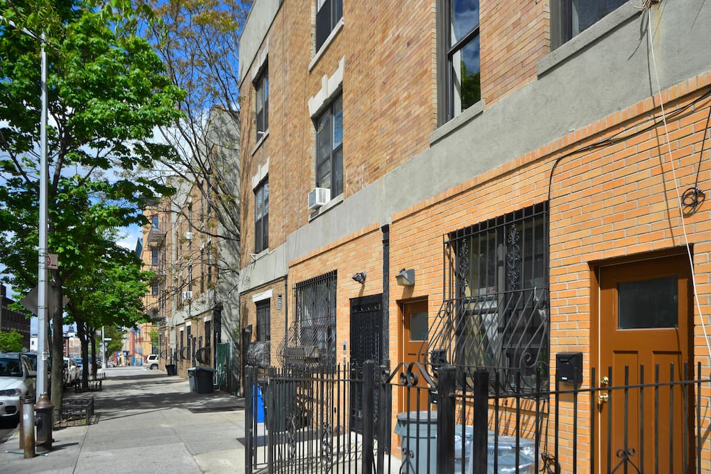 Inviting Bohemia, in Brooklyn Apartment!