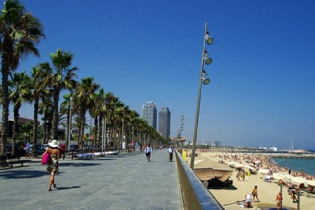 Nos encontramos frente al paseo marítimo, justo en la playa.