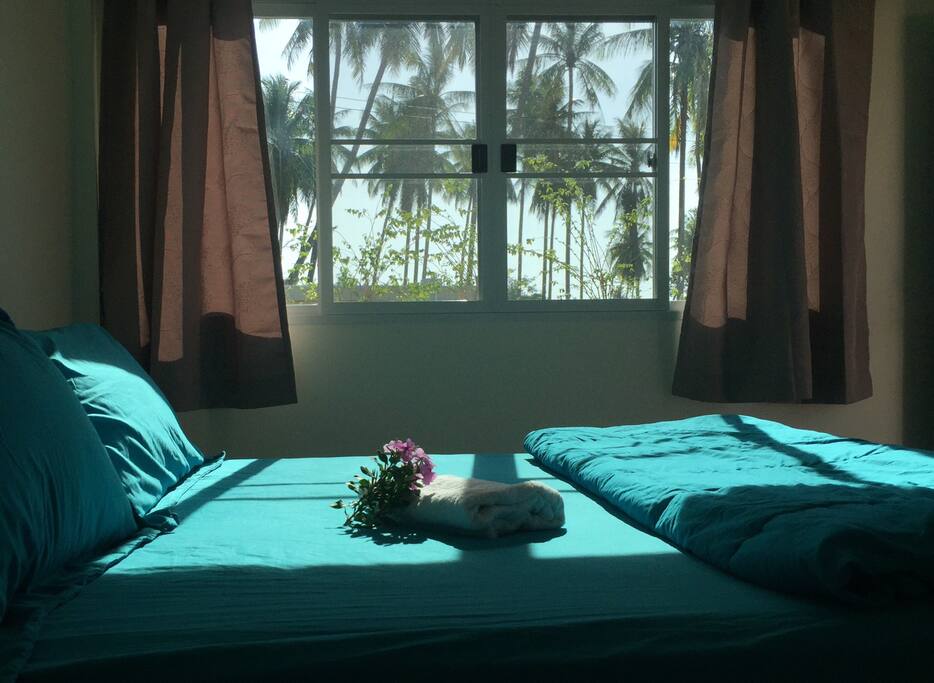 Coconut View