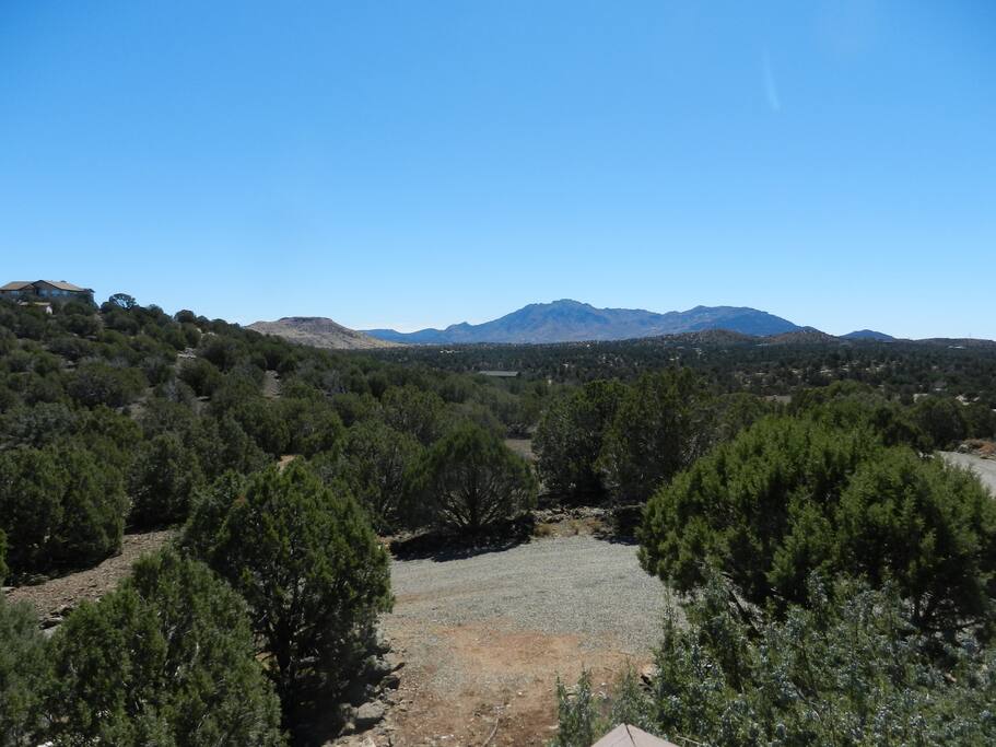 View South
