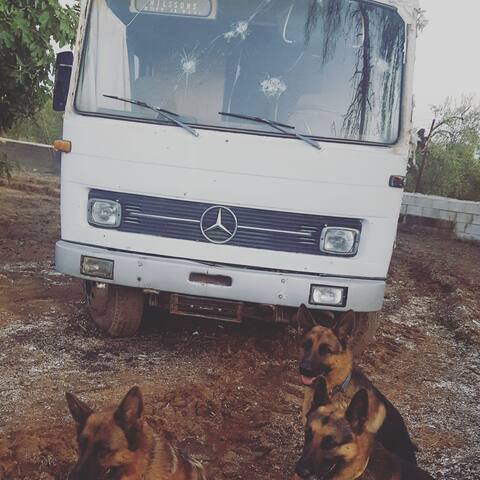 Autocaravana Mercedes Vintage a 18 km de Sevilla
