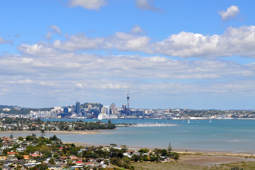 Auckland City View