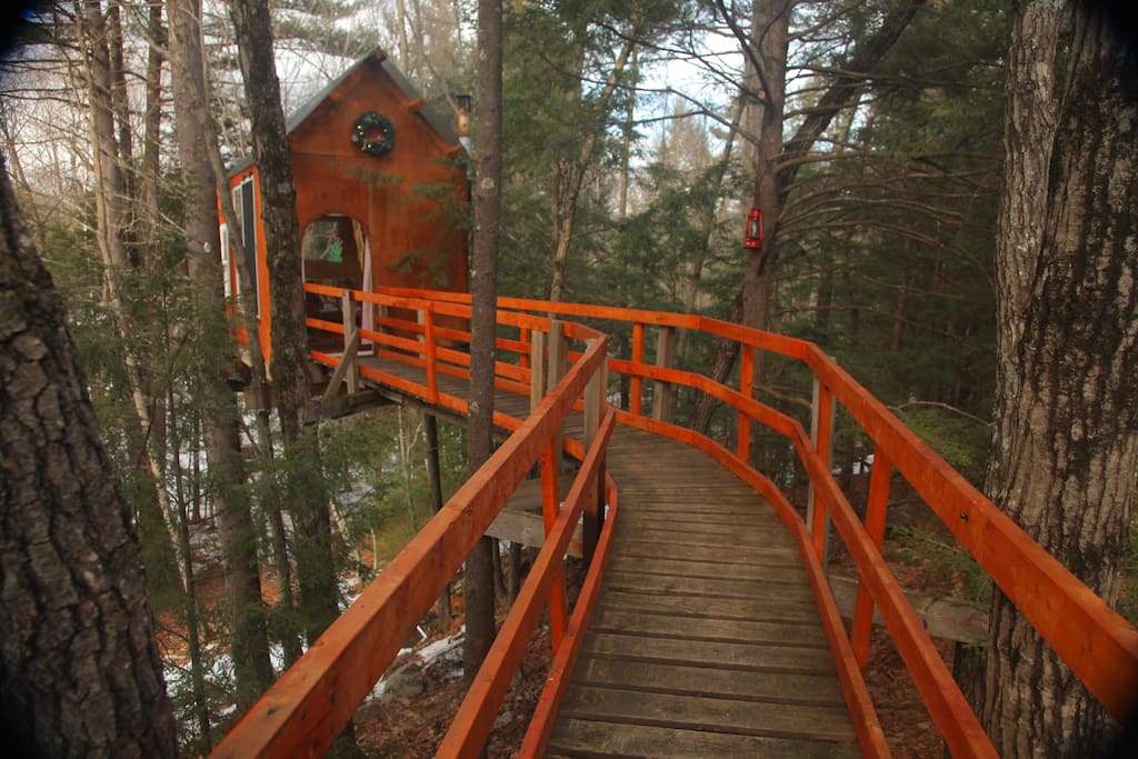 a long boardwalk to a treehouse in New Hampshire