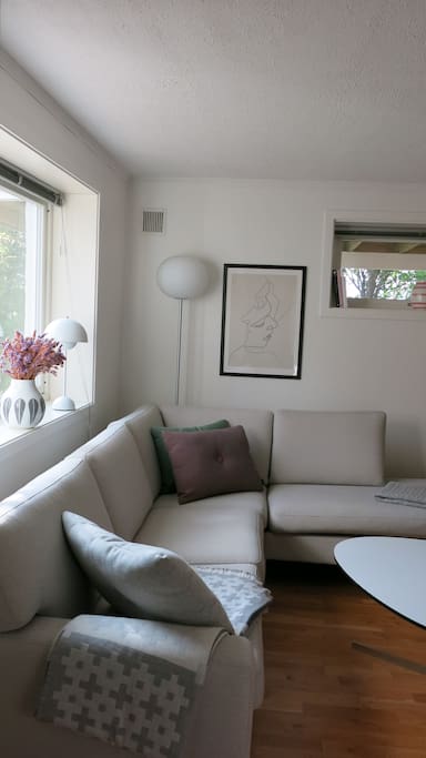 Living room with a comfy couch