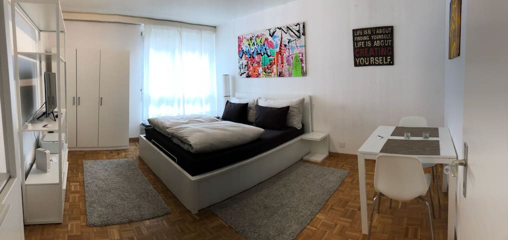 Great Studio in Zurich center #305