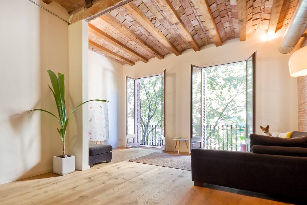 Living room with balcony and the view onto the tree lined street