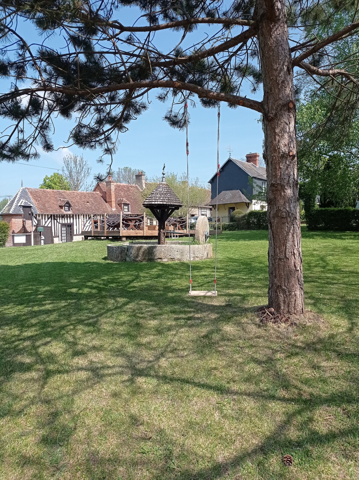 A grassy outdoor area features a swing hanging from a tree. In the background, a well with a thatched roof is visible, along with a mix of traditional and contemporary buildings. Sunlight filters through the tree branches, casting playful shadows on the ground.