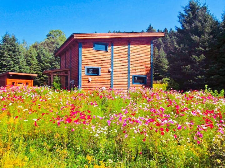 Ecological House, Ideal for Family Houses for Rent in SaintMathieuduParc, Québec, Canada