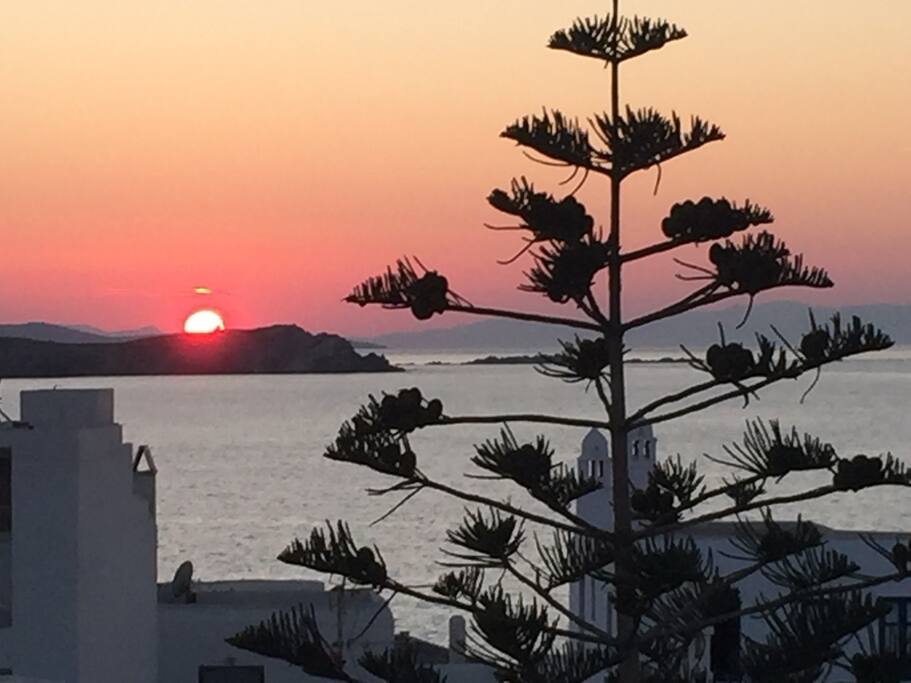 TERRACE SUNSET