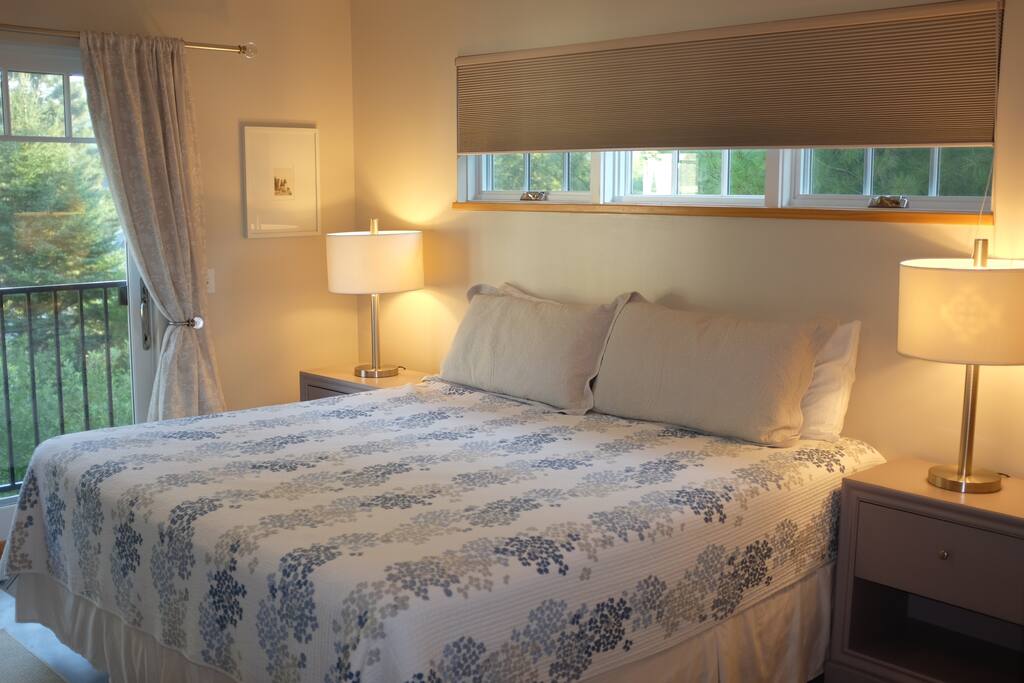 Master Bedroom with King Bed, large dresser and closet