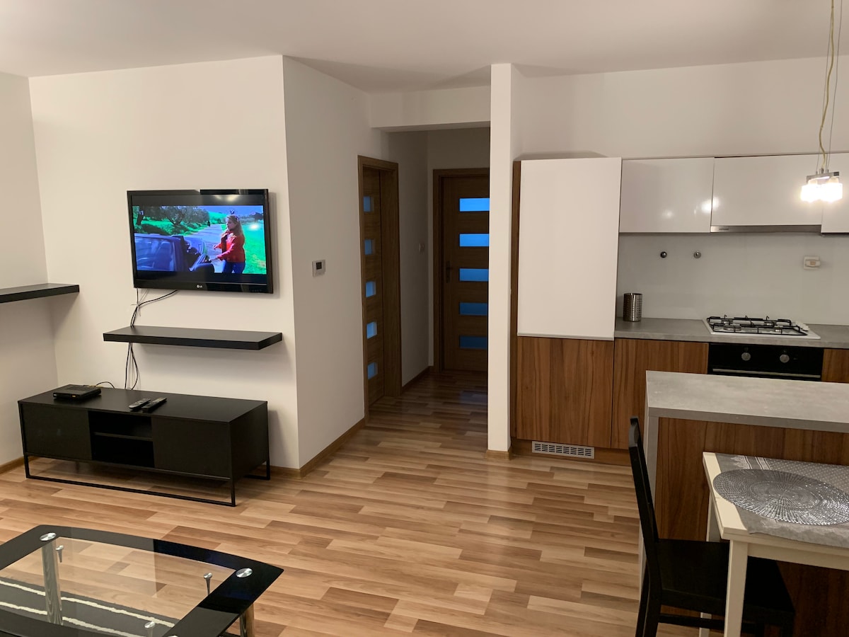 A modern living area features a mounted television and a low-profile entertainment unit. The kitchen is equipped with sleek cabinetry and essential appliances. A dining table is positioned nearby, and natural light is allowed through frosted glass doors in the background.