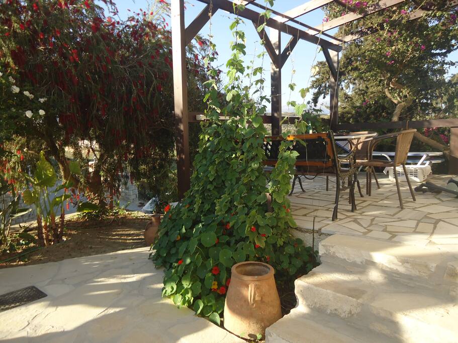 Garten und Terasse