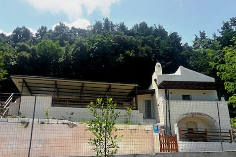 rodi garganico ischia