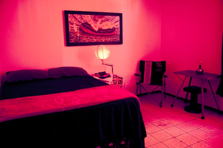 Habitación Salvinorina - Salvia Divinorum