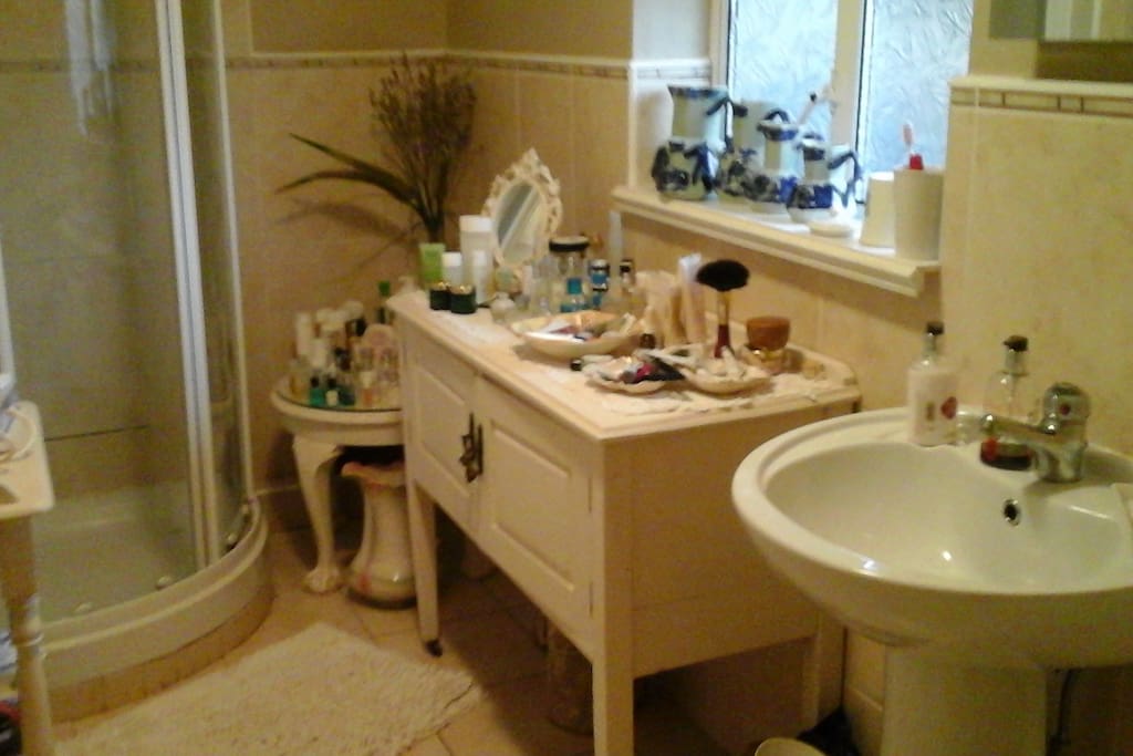 Shared bathroom with modern shower