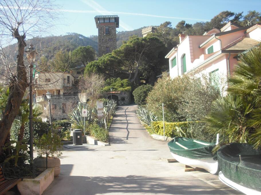 scenic road to the stork
