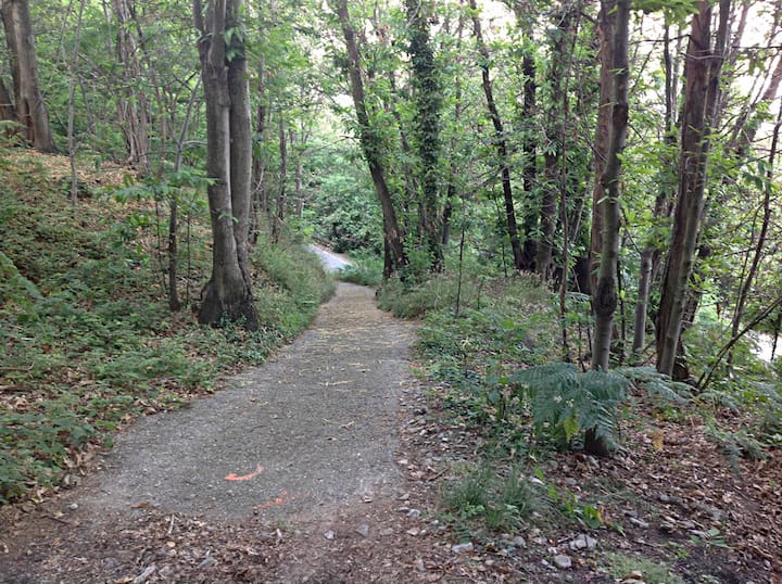 The Casetta nel Bosco Lake Maggiore