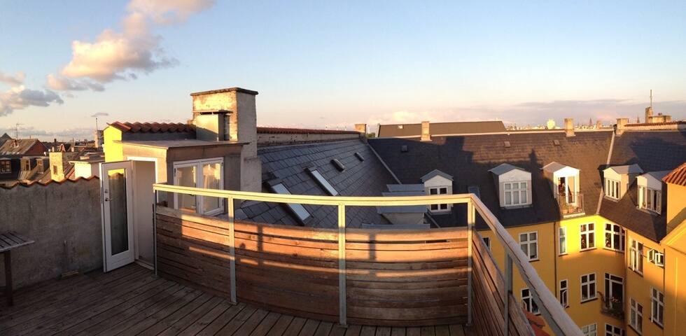 Penthouse with private rooftop