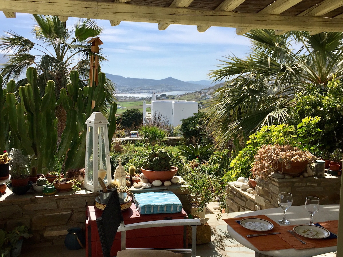 A view from the terrace showcases a lush garden filled with various potted plants and cacti. In the foreground, a small table is set with two glasses and plates, while distant hills and buildings are visible under clear skies.