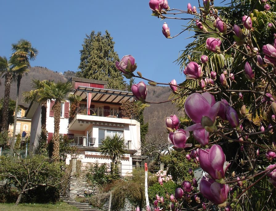 Villa Camelia mit Studio im Parterre