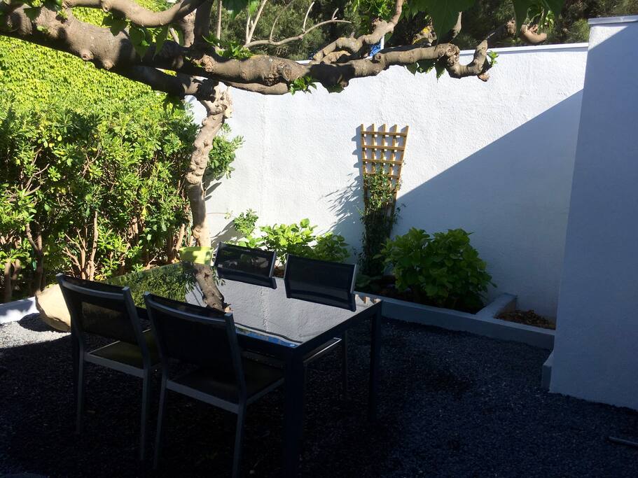 Jardin sous un murier platane