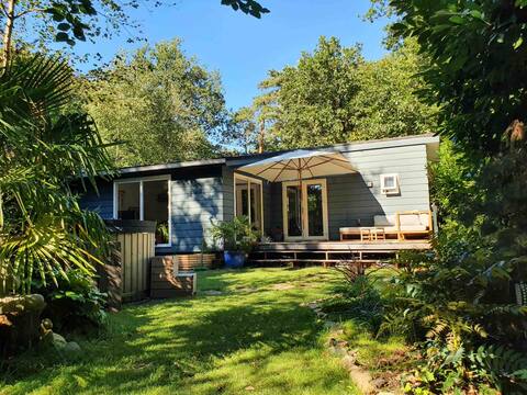 Forest cottage "Het Groene Hart" (with Hottub & Sauna)