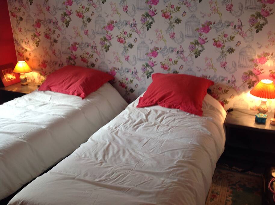 Chambre jeune: lits jumeaux pouvant faire lit matrimonial. Les deux sommiers sont électrique à commande i dividuelle