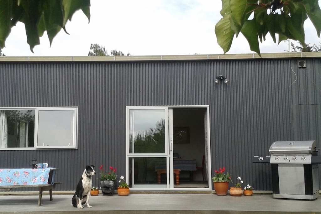 Ben our dog couldn't resist being in this photo! Feel free to use the barbecue. We will provide plates and cutlery and will wash your dishes.