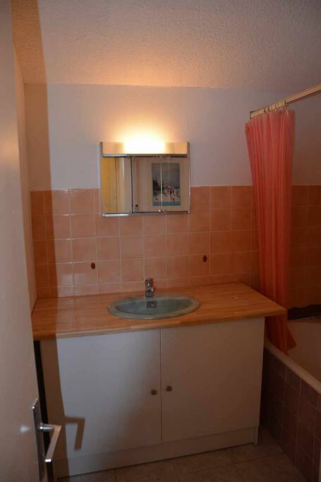 salle de bain avec baignoire et wc