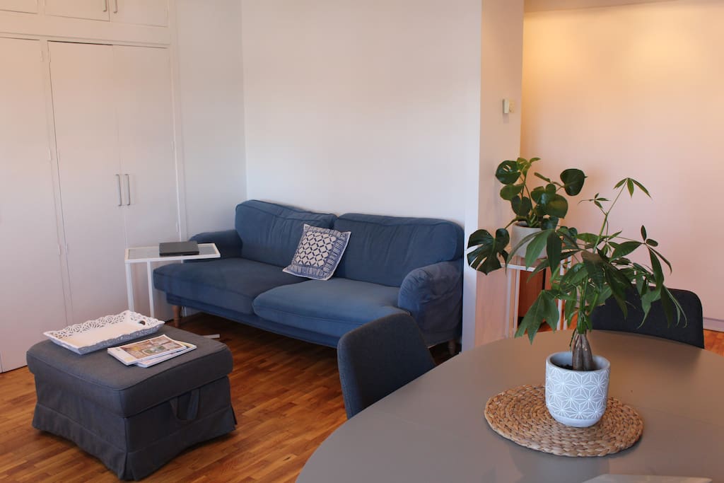 Living room / Salón comedor
