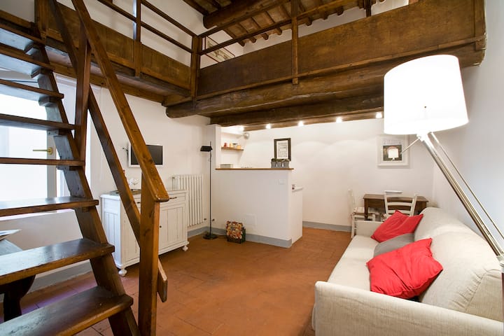 Characteristic apartment in the heart of Florence